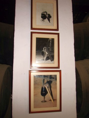 991 jerez bodega gonzalez-byass